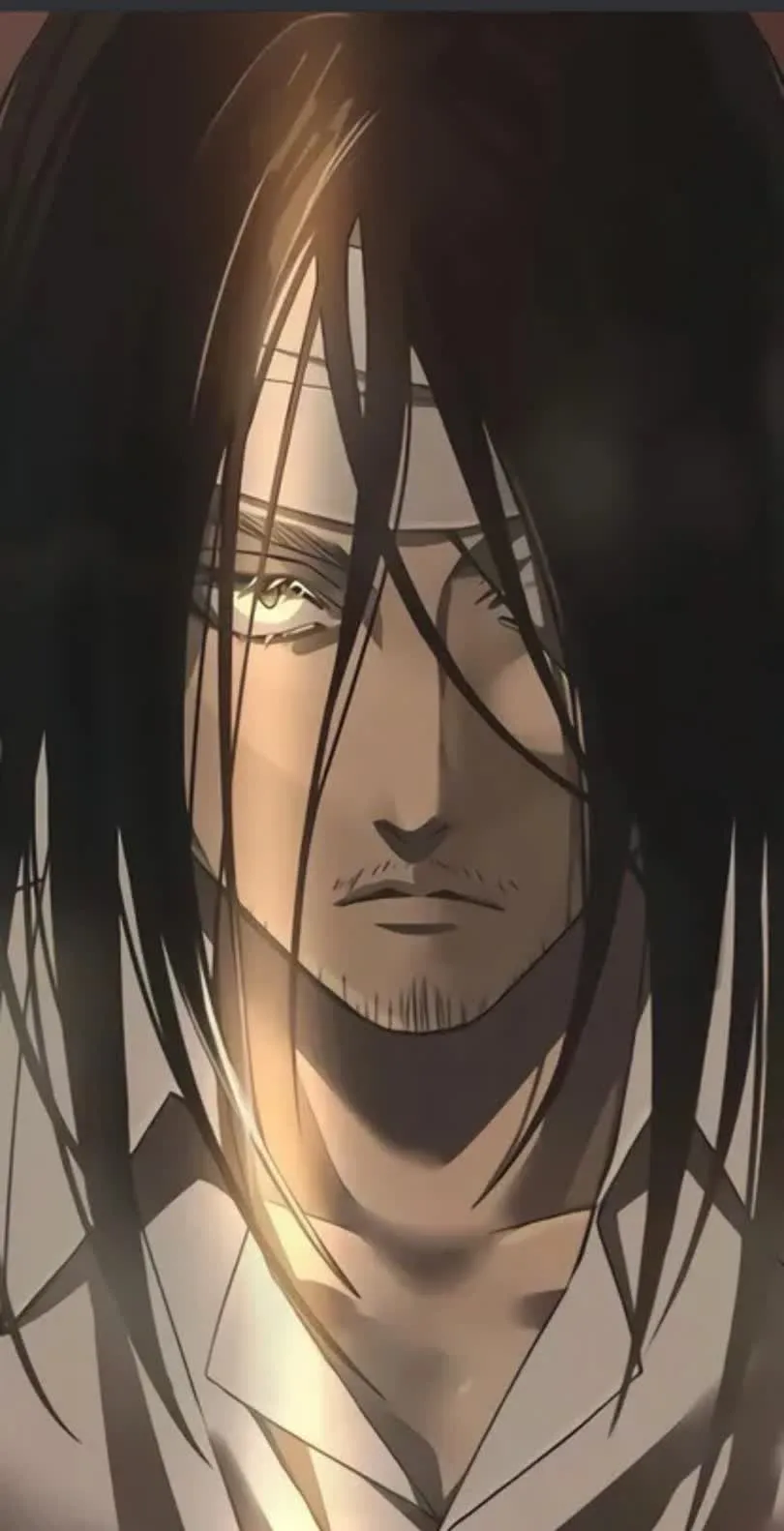 Attack on Titan — HD Attack on Titan wallpaper in 810x1582