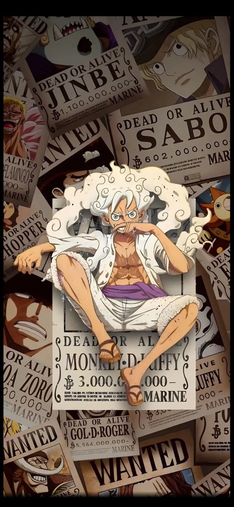 One-Piece — HD One-Piece wallpaper in 810x1755