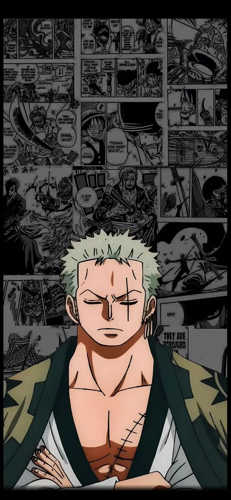 One-Piece — HD One-Piece wallpaper in 810x1755