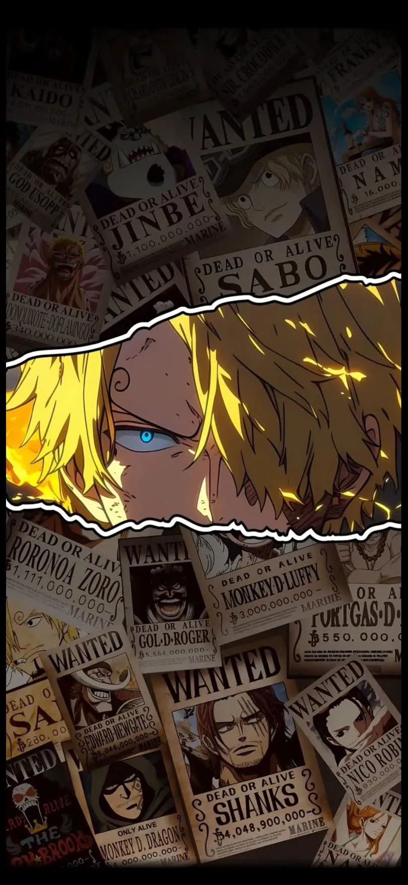 One-Piece — HD One-Piece wallpaper in 810x1755
