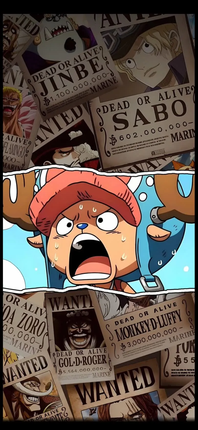 One-Piece — HD One-Piece wallpaper in 810x1755